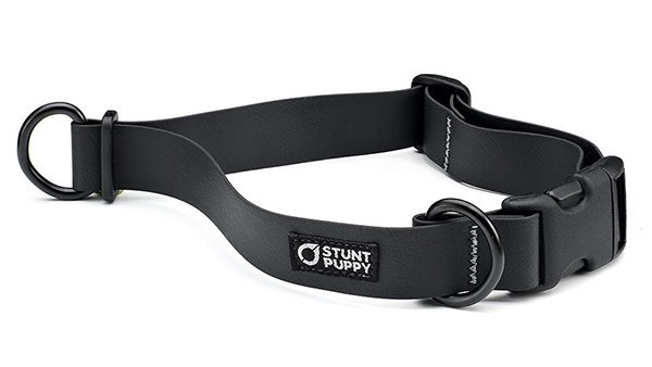  Image of Stunt Puppy’s indestructible Dry Collar for dogs.