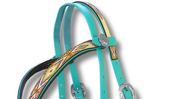 Beta & BioThane Bridles & Halters, Breast Collars , Reins , and Accessories.