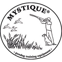 Mystique logo