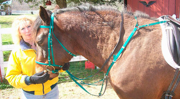 Horse Tack For Sale, Buy Beta Trail & Western Horse Tack