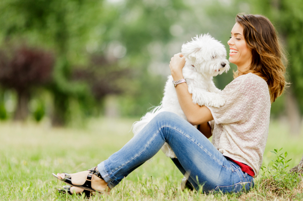 Custom dog collars give your pet’s look a personalized touch.