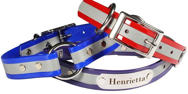 Image of a personalized reflective dog collar. dogIDs makes reflective BioThane collars with durable coated webbing.