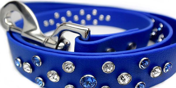 Waterproof Dog Collars & Reflective Dog Collars | BioThane Dog Collars ...