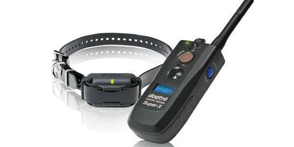 Dogtra Training Collar