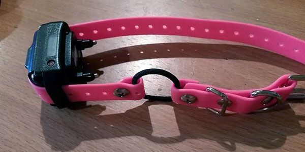 Image of a training e-collar for dogs made by E-Collar Technologies.