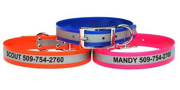 reflective hunting dog collars