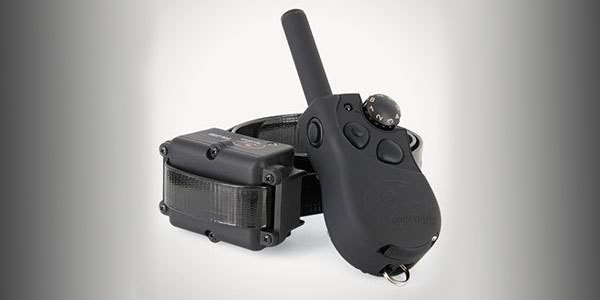 SportDOG Training Collar