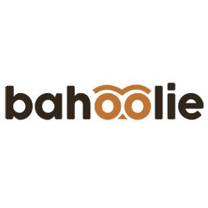 Bahoolie logo
