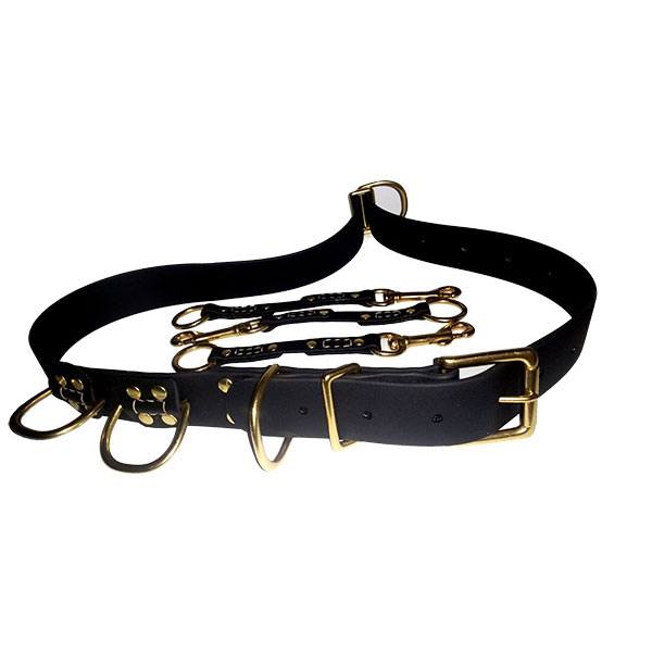 Image of a handmade dog product.