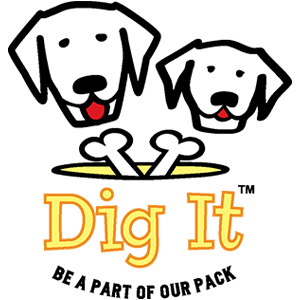 Dig It logo