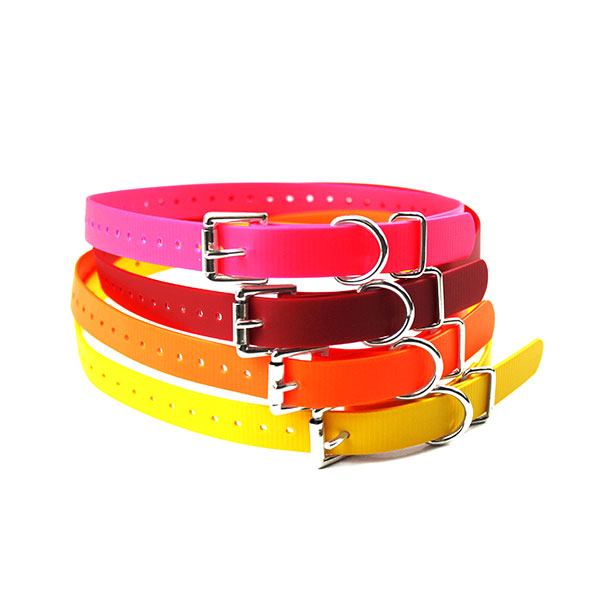 Image of e-collars for dog training.