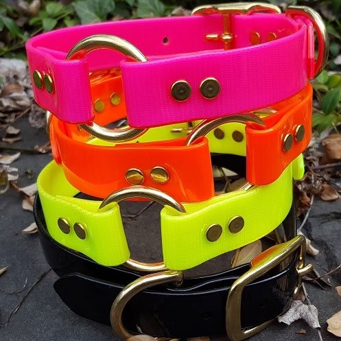 Image of a durable Four Paws Pet Supplies dog collar made from BioThane