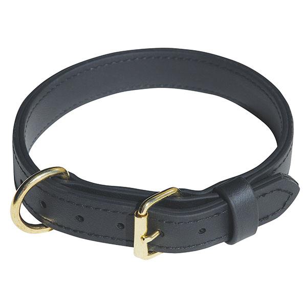 Image of a police dog collar.