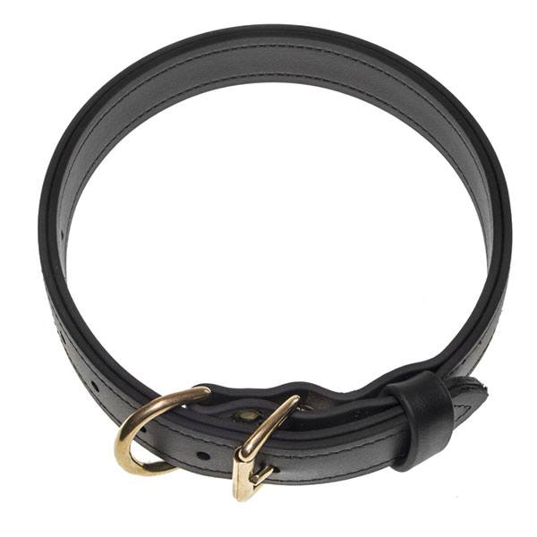 Image of a working dog collar from Viper.