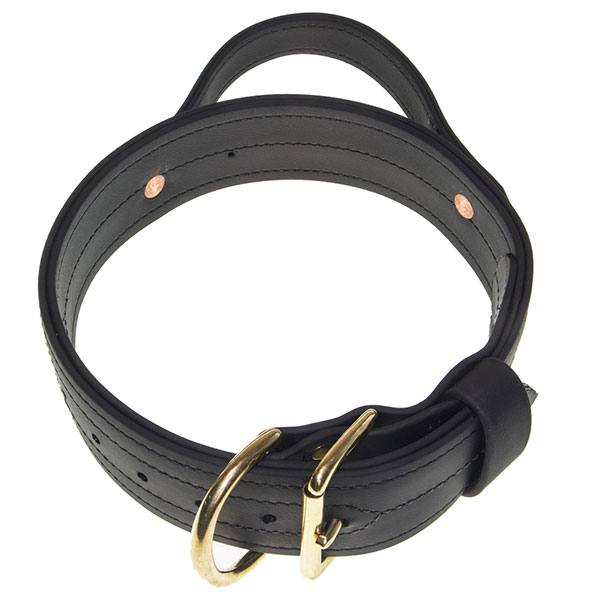 Image of an agitation collar for dogs.
