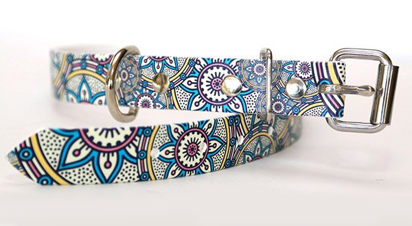 Image of a handmade fashion dog collar made of coated webbing