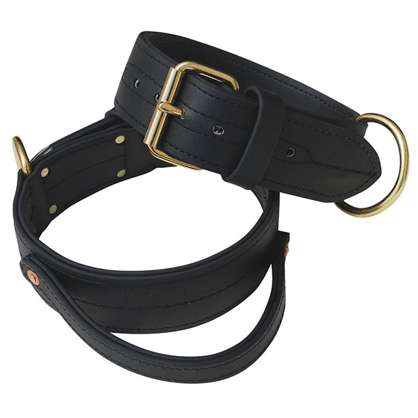 Image of a durable police dog collar from Ray Allen Manufacturing.