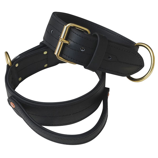 ray allen dog collars