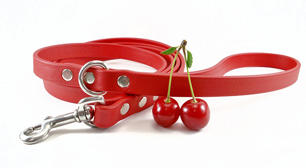 Leather Dog Collar and Leashes Manufacturer