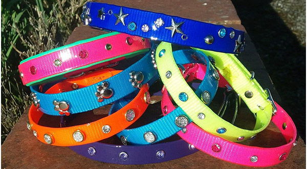 DezignADogCollar.co.uk