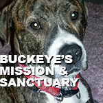 Buckeye's Mission & Sanctuary