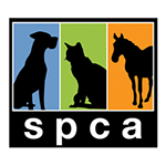 Medina County SPCA