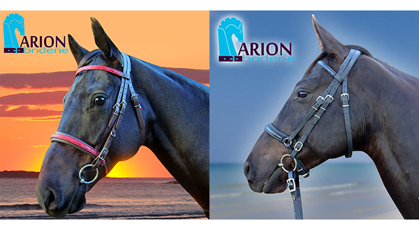 BioThane Bridles