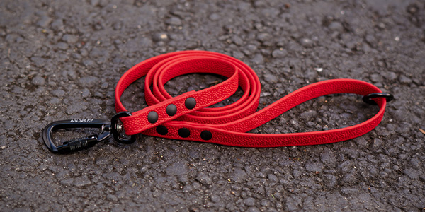 Bolder K9 Red Leash