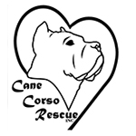 Cane Corso Rescue 