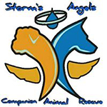 Storm's Angels