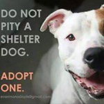 Everman Animal Shelter