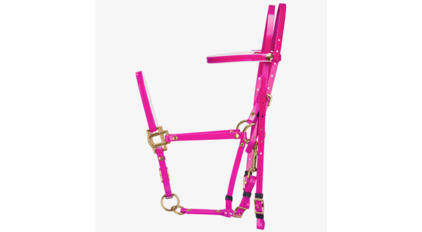 BioThane Camo Bridle