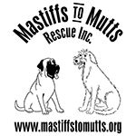 Mastiffs To Mutts Rescue