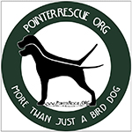 Pointer Rescue