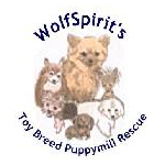 WolfSpirits Rescue