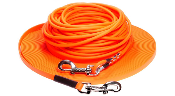 LENNIE-Equipment Leashes