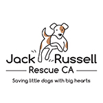 Jack Russell Rescue CA