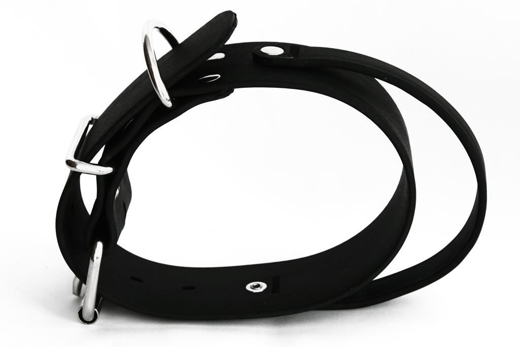 LENNIE-Equipment Training Collar