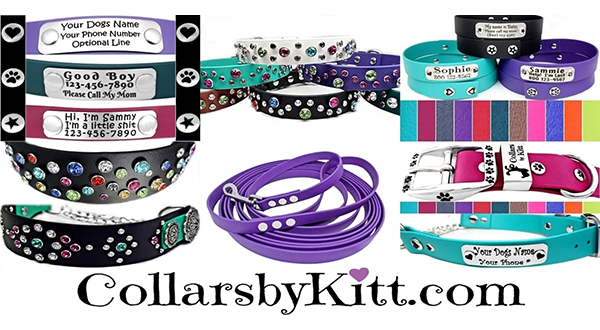 Image of a fancy, personalized dog products from Collars by Kitt.