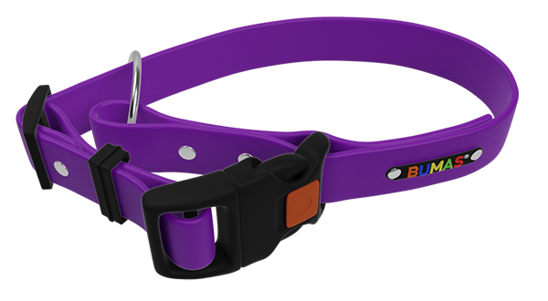 BUMAS violet dog collar