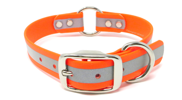 Front Range Gun Dog Reflective Collar