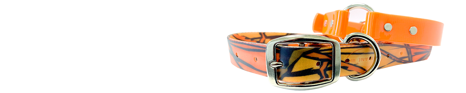 Image of hunting dog collars and custom hunting dog collars made by BioThane.