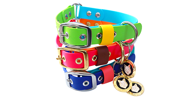 rubber dog collars