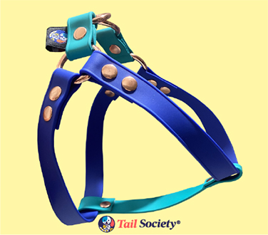 Tail Society Harness