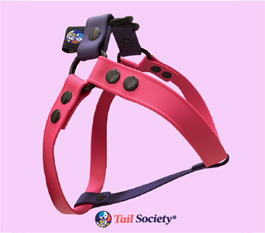 Tail Society Harness