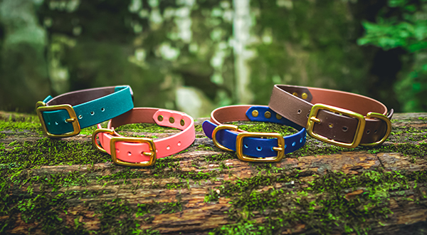 Bark Rangers Collars