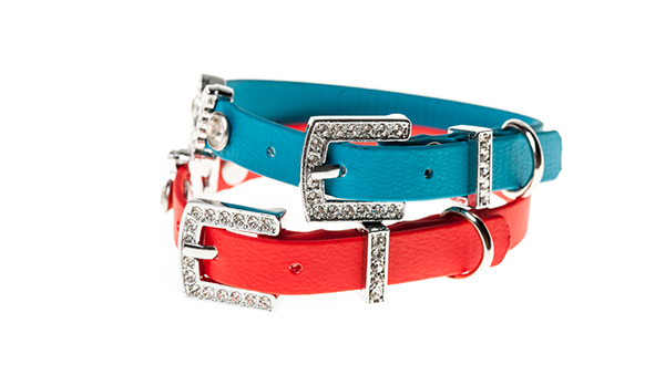 Filipa Dog Collars