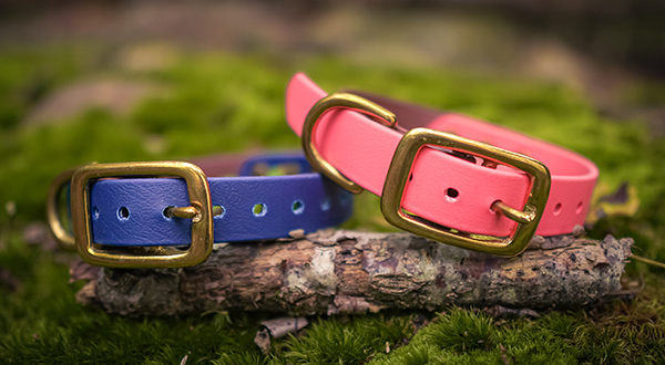 Bark Rangers Collars