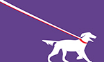 Champ Dog Gear logo