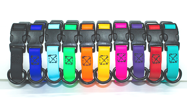 Champ Dog Gear Collars